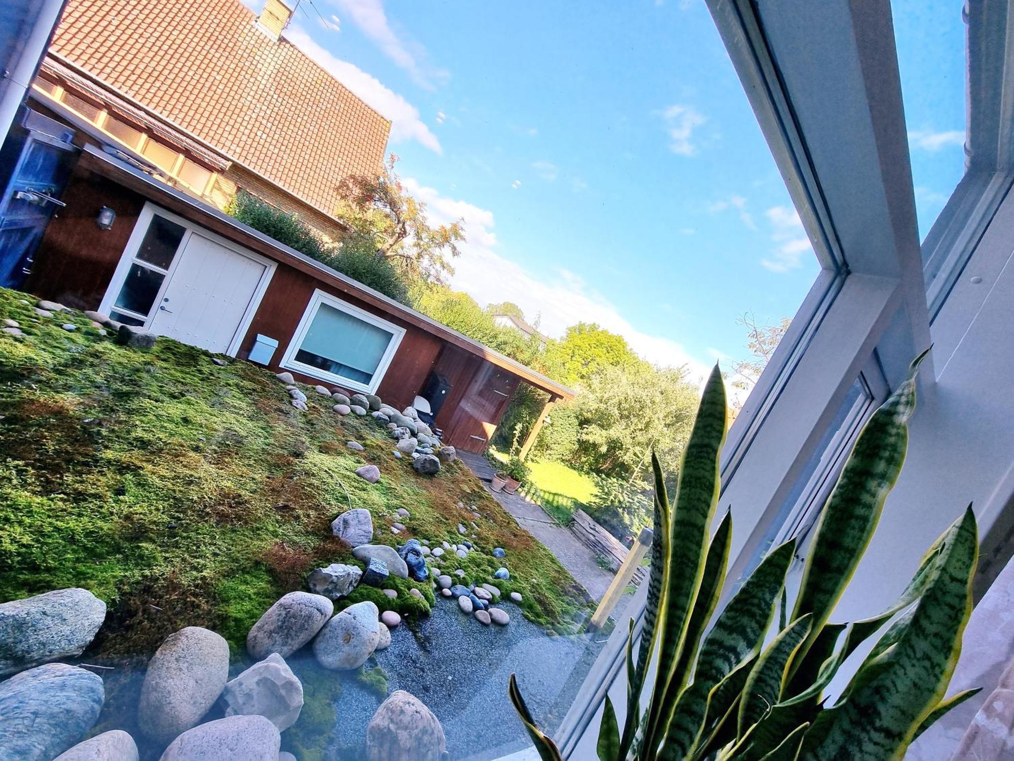 Gasthuis 'blue House' In Vintage Villa&garden